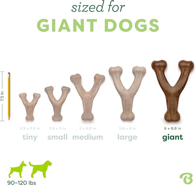 Benebone Wishbone Durable Dog Chew Toy - Image 4