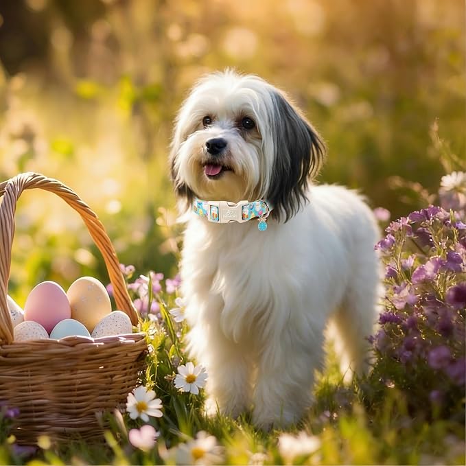 Easter Dog Collar for Small Dogs - Image 7