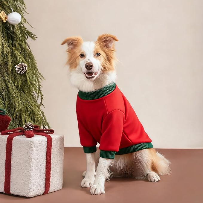 Custom Dog Hoodie, Personalized Sweatshirt - Image 5