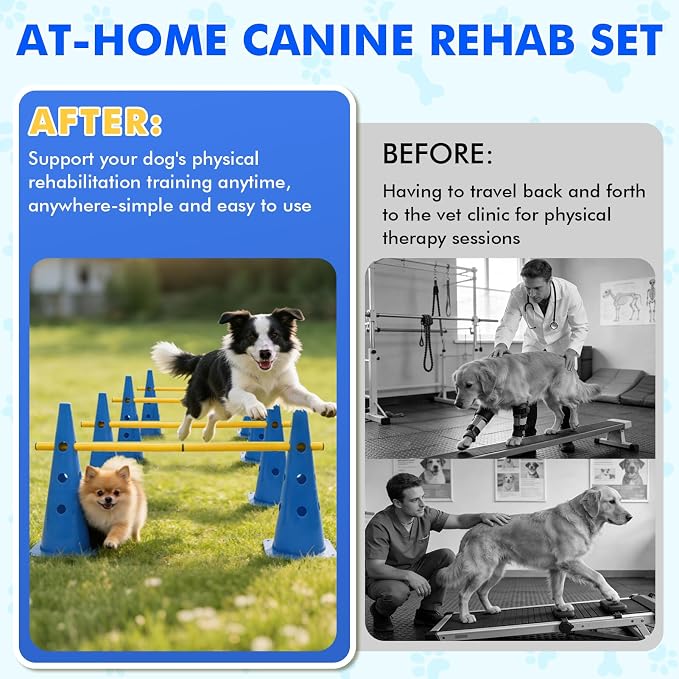 Wdmiya 18.9" Dog Agility Training Hurdle Cone Set, Dog Agility Course Backyard - Image 5