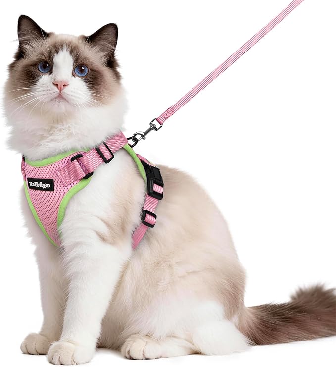rabbitgoo Cat Harness and Leash by rabbitgoo