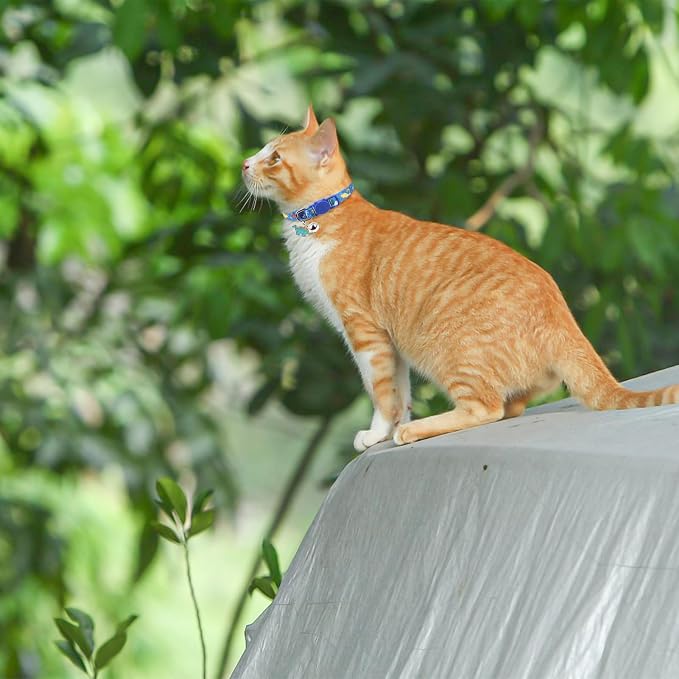 SCENEREAL Breakaway Cat Collars - Image 7