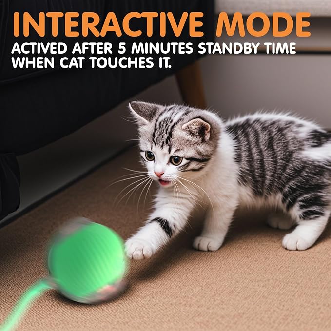 Rocfish Durable Interactive Cat Toys - Image 6