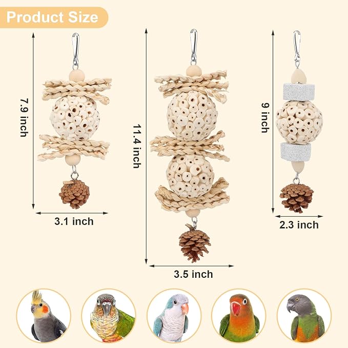 Wontee Bird Toys 3 Pack Parrot Foraging Hanging Toys Sola Ball Natural Nuts - Image 5
