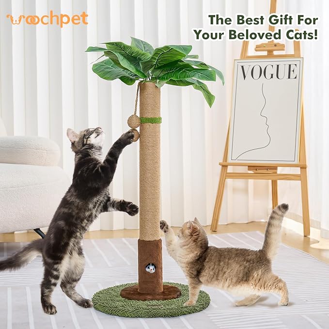 Cat Scratching Post for Indoor Cats and Kitten - Image 2
