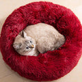 Cat Beds for Indoor Cats by Unknown