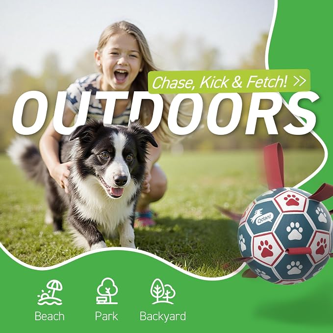 QDAN Dog Balls, World Cup Soccer Ball - Image 7