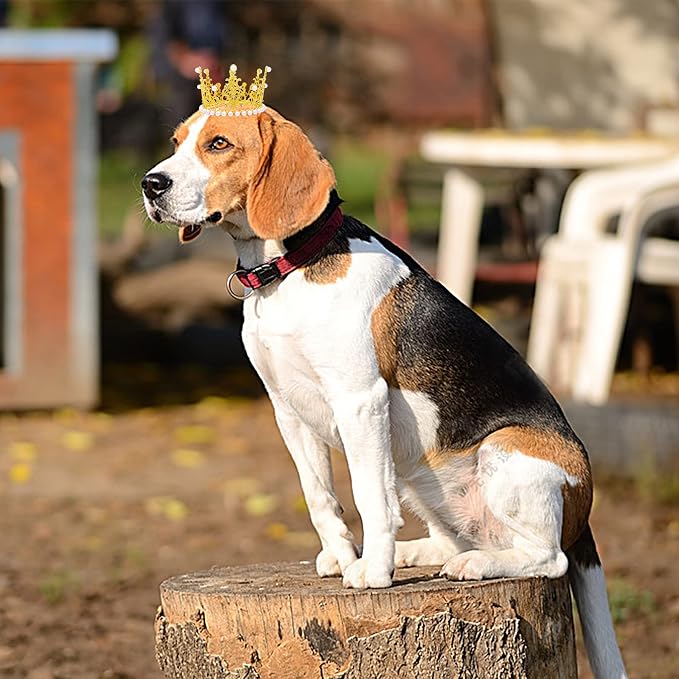 PET SHOW 2pcs Large Dog Crown Headband Sheep Big Pet Hat - Image 6