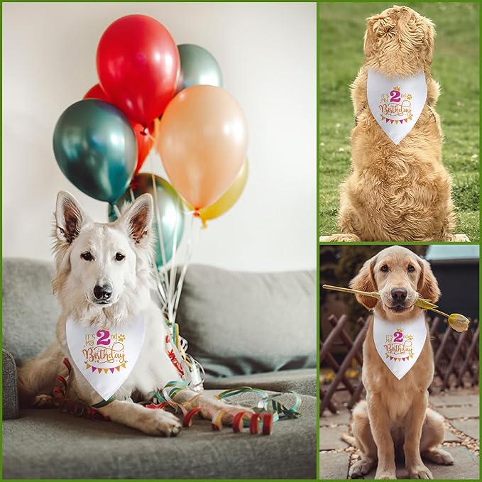 It's My 2nd Birthday Dog Bandana Happy 2nd Birthday Pet Triangle Scarf - Image 5