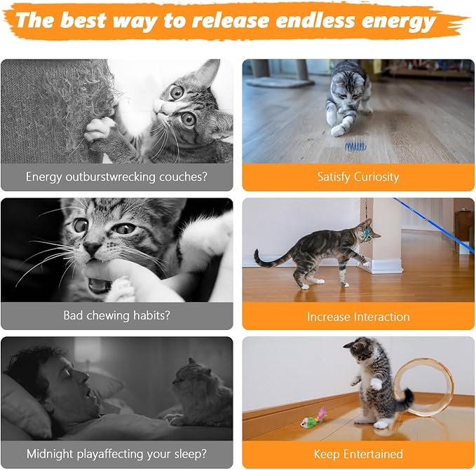 Cat Toys 24 PCS, Interactive Cats Toys - Image 6