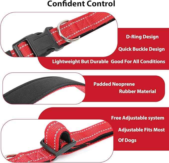 Reflective Dog Collar Padded