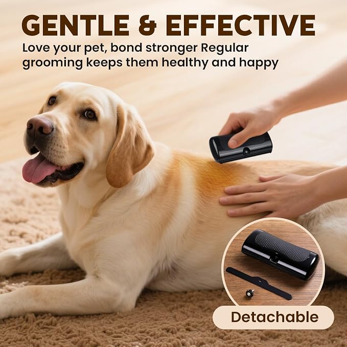 Deshedding Dog Brush & Pet Hair Remover Comb – Grooming Tool - Image 4