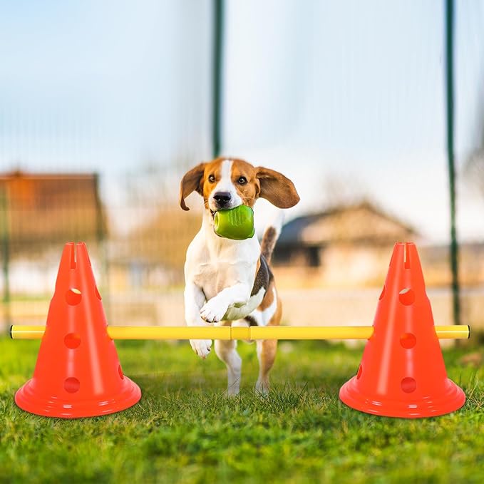 10 Sets Dog Agility Hurdle Cone Set 20 Pcs Exercise Cones - Image 3