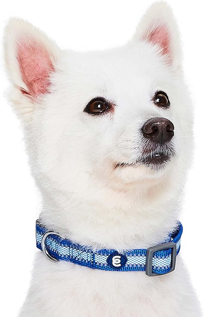 Blueberry Pet Medium Dog Collar in Reflective Navy Blue | Adjustable Classic - Image 3