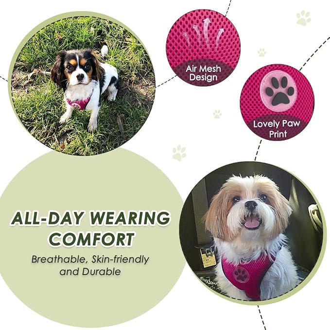 SlowTon Dog Seat Belt Harness for Car, Dog Car Harness Adjustable Mesh - Image 2