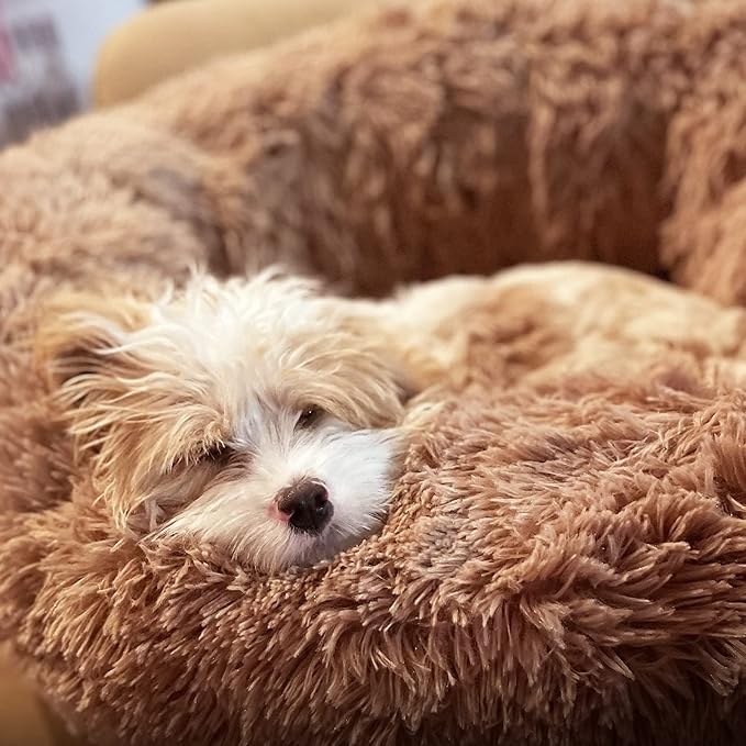 Calming Donut Dogs Beds for Small Dogs Washable, 19inch Fluffy Round Puppy Bed - Image 5