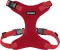 Voyager Step-in Pet Harness by BestPetSuppliesLLC