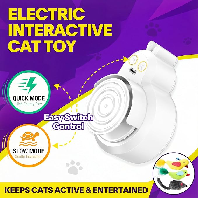 Interactive Cat Toys for Indoor Cats: Automatic Electric Flying Bird Feather & - Image 4
