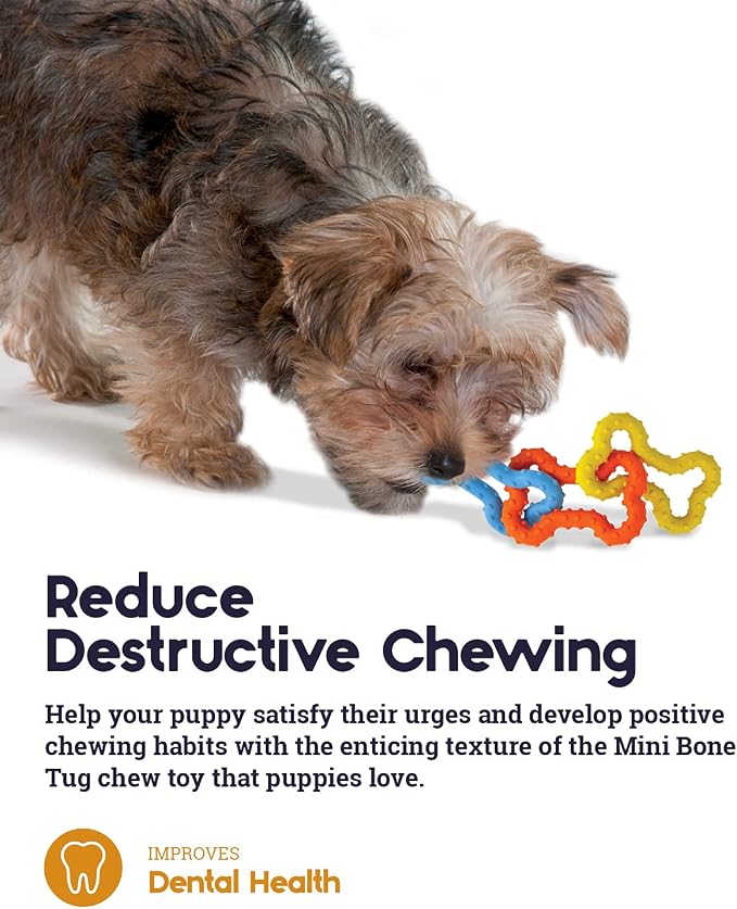Petstages Mini Bone Tug Puppy Chew Toy - Image 5