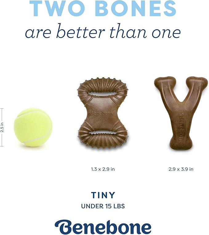 Benebone Puppy 2-Pack Dental Chew/Wishbone Dog Chew Toys, Made in USA, Real - Image 4