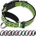 Martingale Dog Collar, Adjustable Nylon Reflective Collar by JOYEEIIOO
