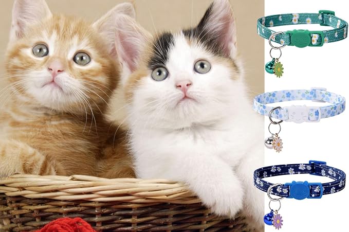 10PC Floral Cat Collar Set - Image 5