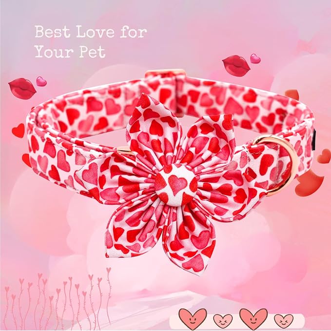 Lionheart glory Valentine's Day Dog Collar - Image 3