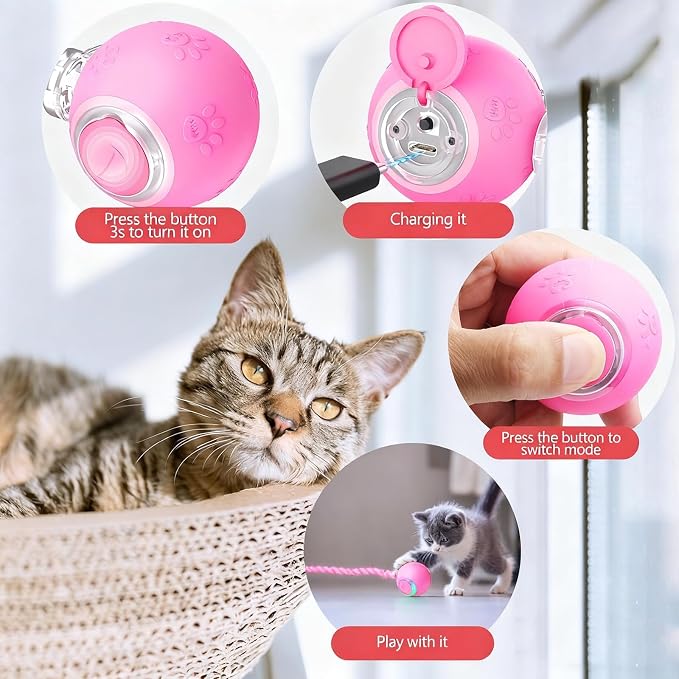 FUNNYDUCK Speed 2.0 Tail Interactive Cat Toy – Motion-Activated Rolling Ball - Image 3