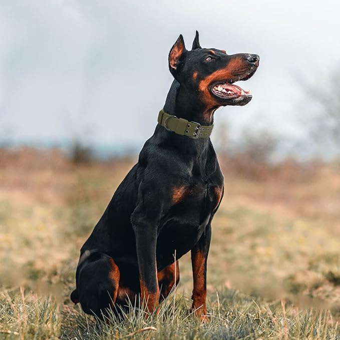 Tactical Dog Collar Military Adjustable Dog Collars Soft Nylon Training Collar - Image 4