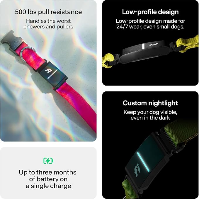 New Fi Series 3+ Smart Dog Tracker Collar GPS Tracker - Image 6