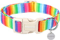 DOGWONG Cotton Dog Collar, Rainbow Dog Collar Durable Soft Natural Fabric Pet by DOGWONG