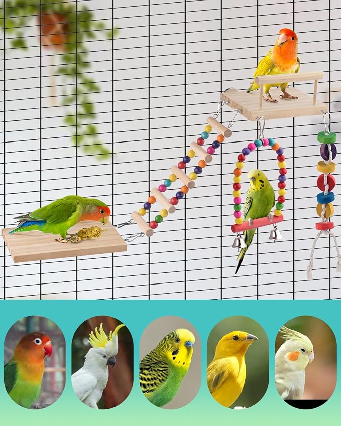 5in1 Bird Parakeet Toys, Detachable Birdie Perches Platform Swing - Image 5