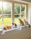 Heavy-Duty Cat Window Perch 2-Pack – All-Metal Frame Supports up to 120 lbs by NRYDEPET