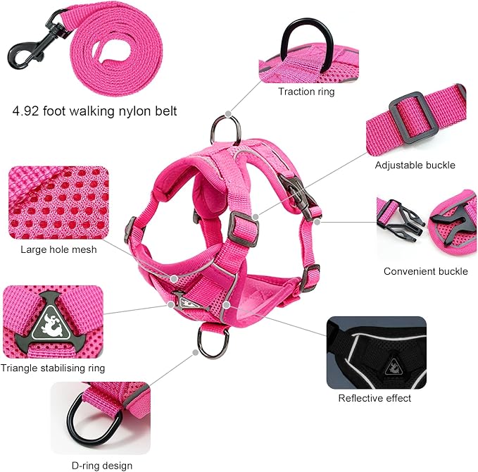 Large Cat Harness and Leash Set - Image 2