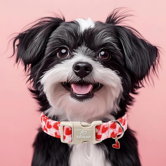 Valentines Dog Collar for Small Dogs - Image 7