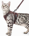 Cat Harness and Leash Set Escape Proof Tactical Small Kitten Harness Emotional by pangdi