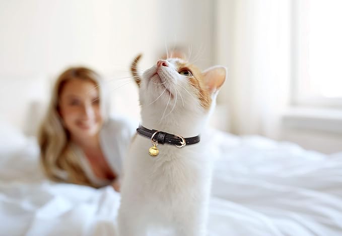 3 Pack Leather Cat Collars - Image 6