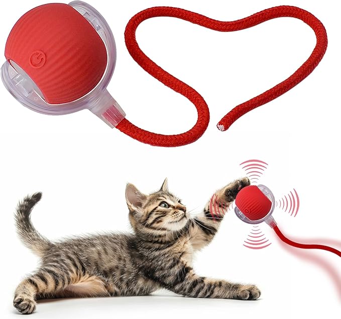 Interactive Cat Dog Toy Ball: Indoor Small Automatic Moving Smart Rolling Fun by AEBDERP