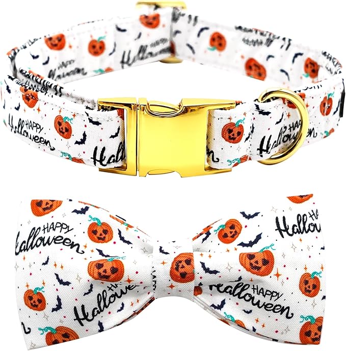 Halloween Dog Collar, Pet Collar Bow Pumpkin Pet Collar Girl Boy Holiday by BoboRainbow