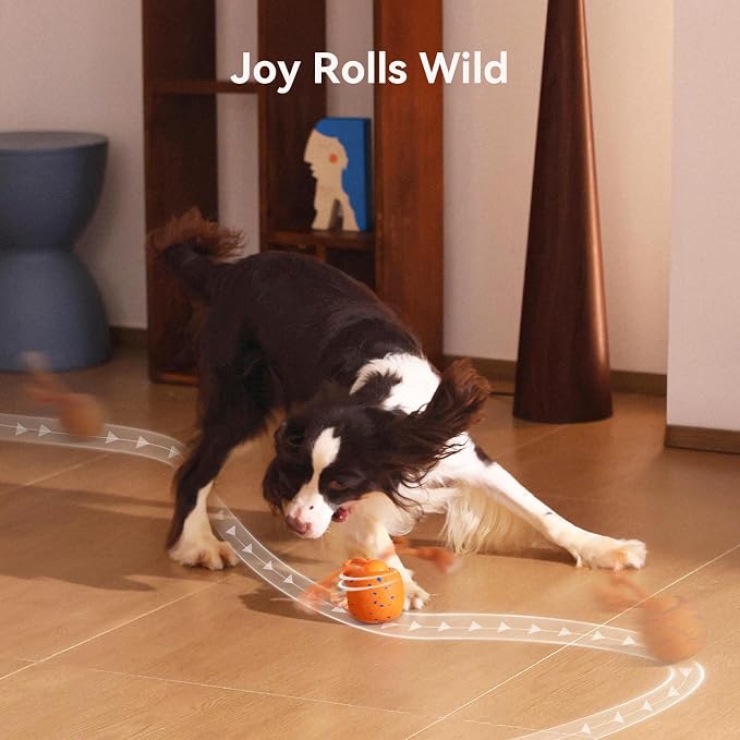 Cheerble Smart Interactive Dog Toy, Wicked Ball Rolly, Automatic Moving - Image 8
