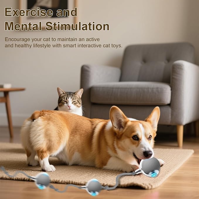 Interactive Cat Toy, 2025 New Interactive Rolling CatsToy Balls 360° Smart - Image 4