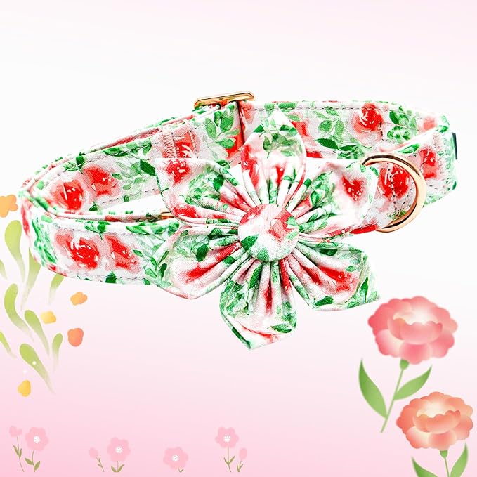 Lionheart glory Dog Collar Flowers Collar Floral Dog Collar - Image 4