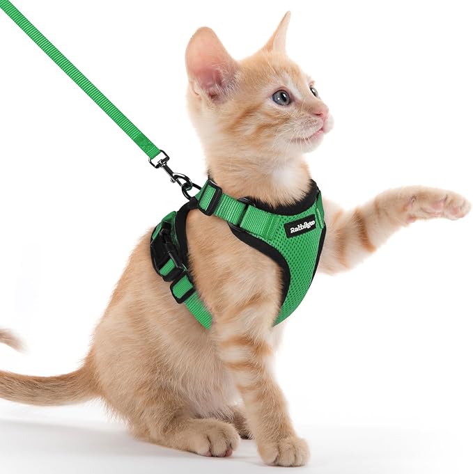 rabbitgoo Cat Harness and Leash by rabbitgoo