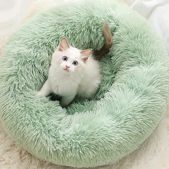 Cat Beds for Indoor Cats by Unknown