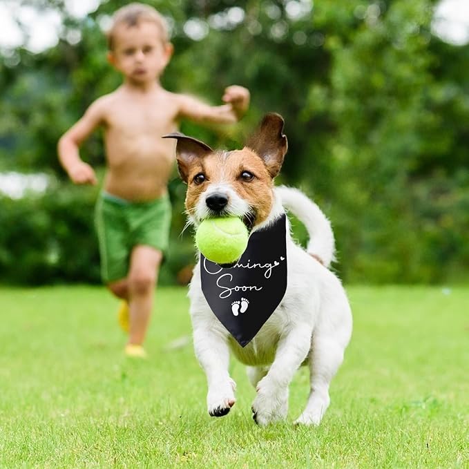 Baby Coming Soon Announcement Dog Bandana Gender Reveal Baby Announcement Pet - Image 5