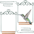 2 Pcs Hummingbird Swings and Perches Metal Frame Bird Swing by HOTOP