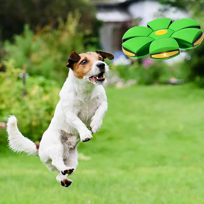 Pet Toy Flying Saucer Ball, Flying Saucer Ball Dog Toy - Image 5