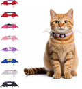 1 PC Bat Wing Cat Collar with Bell, Adjustable Kitten Collar with Safety by FURRYUMI
