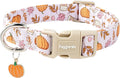 Faygarsle Fall Pumpkin and Leaves Pattern Dog Collar by Faygarsle