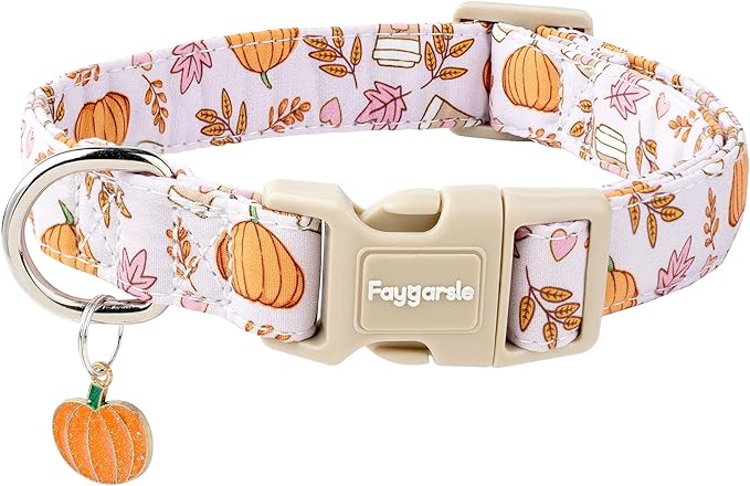 Faygarsle Fall Pumpkin and Leaves Pattern Dog Collar by Faygarsle